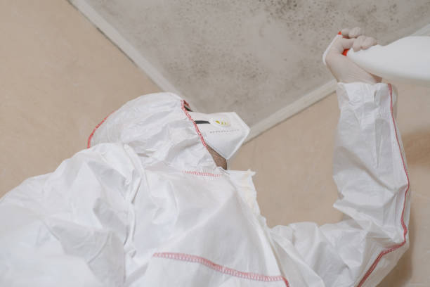 Best Residential Mold Removal  in Pelican Bay, FL